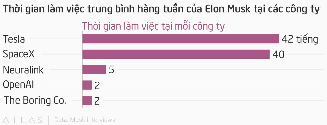 Một tuần của elon musk làm việc