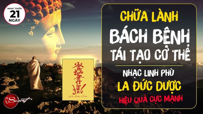 Nhạc thiền linh phù la Đức dược chữa trị lành bách dịch tái tạo khung người tinh  thần hiệu quả