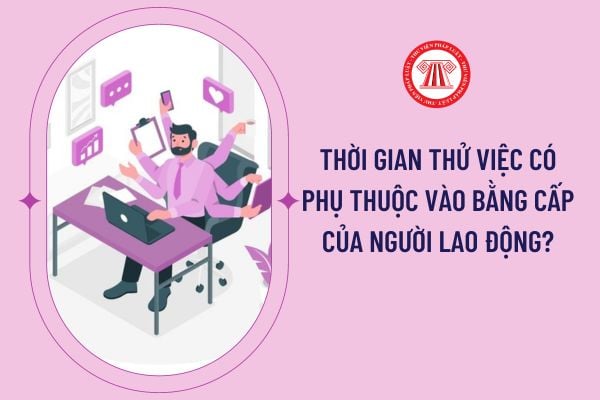 Thời gian thử vấn đề có nhờ vào vào bởi cấp của tín đồ lao động