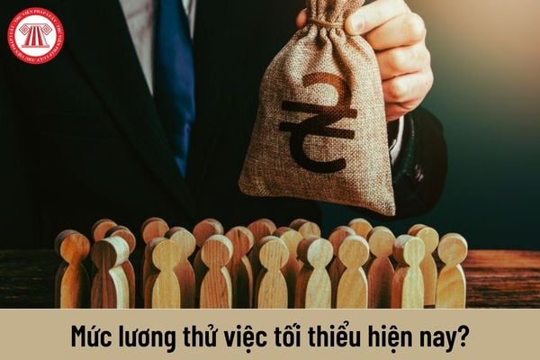 Mức lương thử việc tối thiểu hiện giờ là bao nhiêu