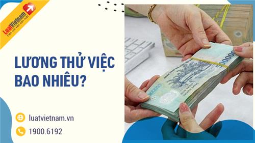 Mức lương test việc bây chừ và một số trong những lưu ý