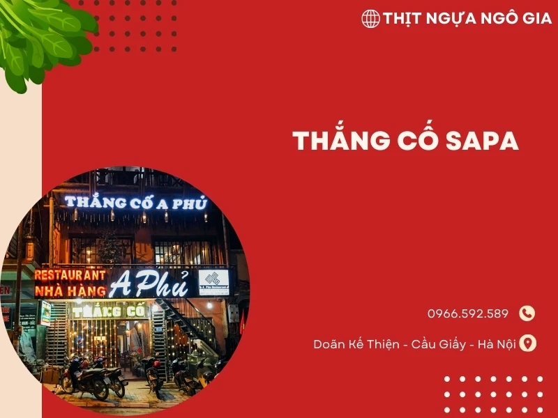 Top  quán thắng cầm sapa khét tiếng nhất Định cần thử