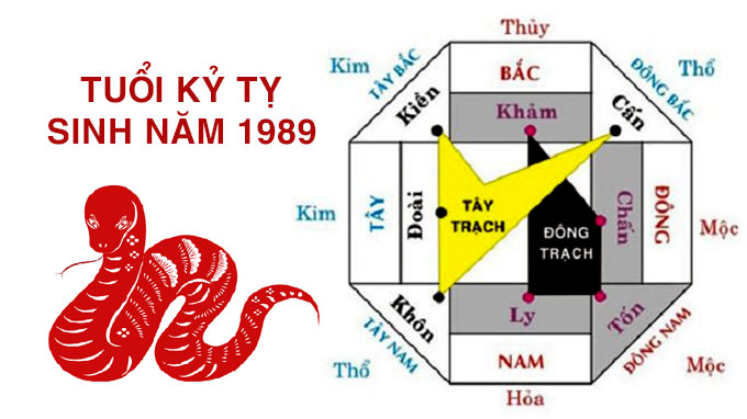 Tuổi kỷ tỵ hợp hướng nào