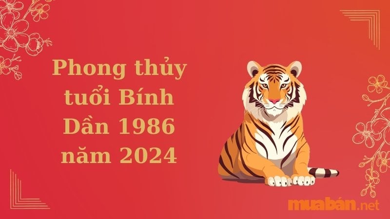 Tử vi bính dần  năm