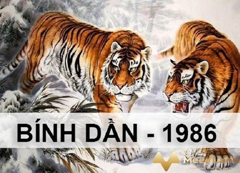 Vận trình tử vi tuổi bính dần  vào tháng  năm  bỏ ra tiết