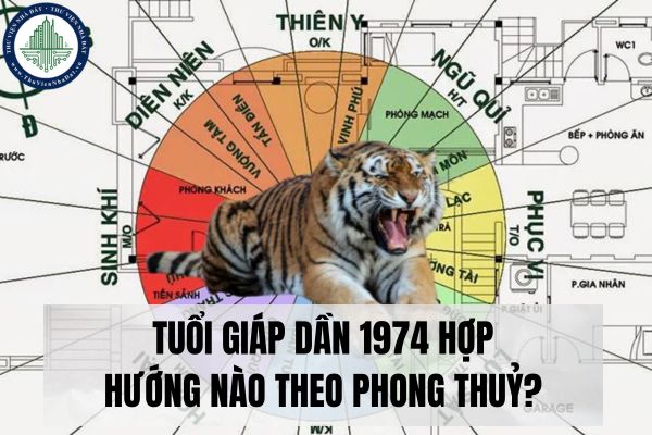 Tuổi giáp dần hợp hướng nhà nào theo phong thuỷ