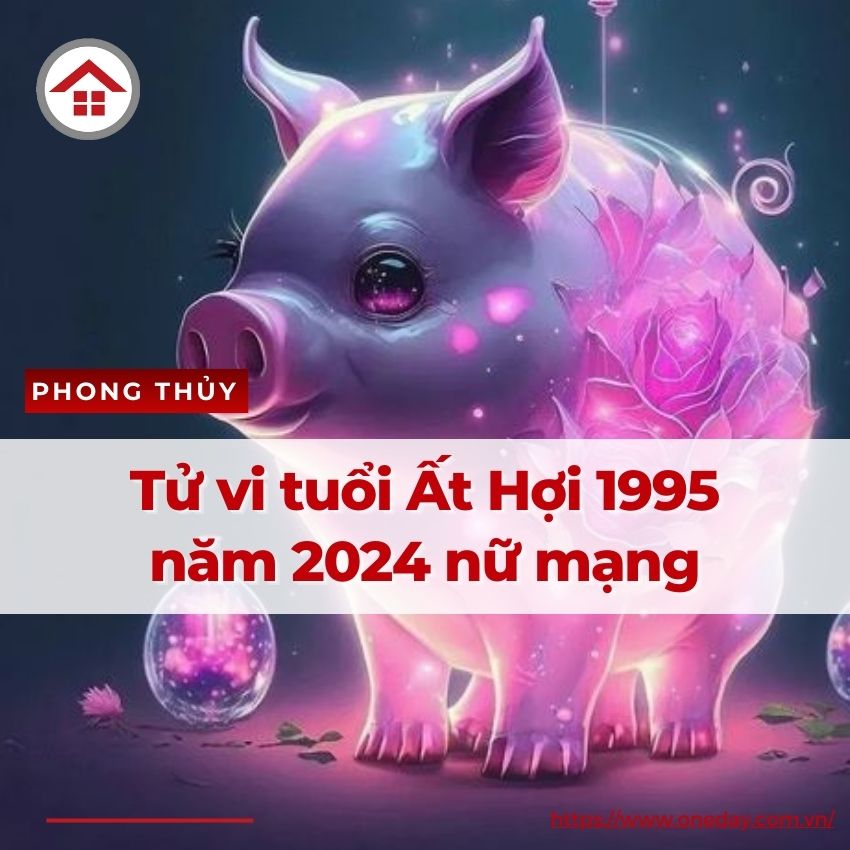 Phong thủy tuổi hợi 1995 năm 2024, dự Đoán tài lộc, sức khỏe và cả tình duyên