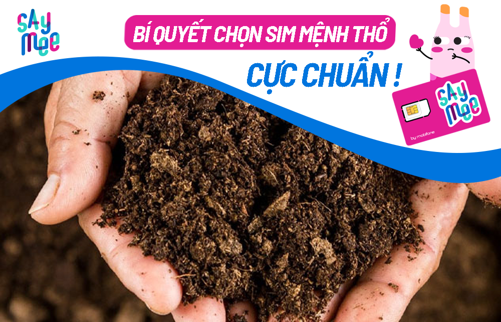 Bí quyết lựa chọn sim tử vi hợp mệnh thổ cực chuẩn