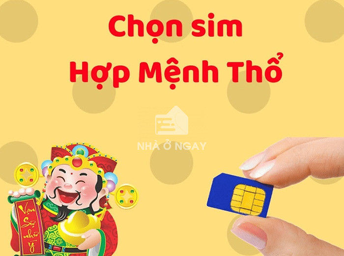 Tư vấn cách chọn sim tử vi hợp mệnh thổ