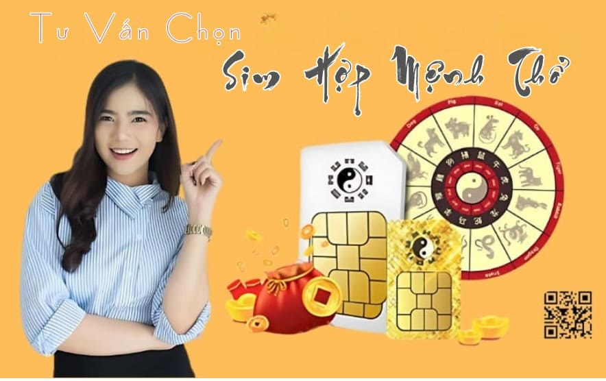 Sim tử vi hợp mệnh thổ