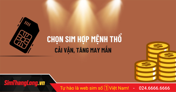 Sim hòa hợp mệnh thổ