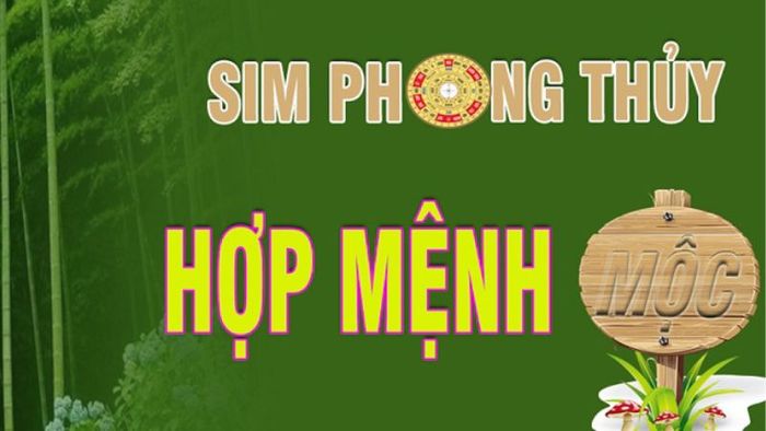 Bí quyết chọn sim phong thuỷ đúng theo mệnh mộc