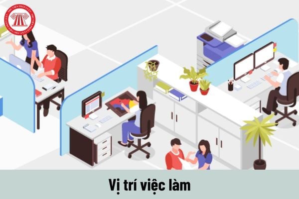 Vị trí việc làm là gì