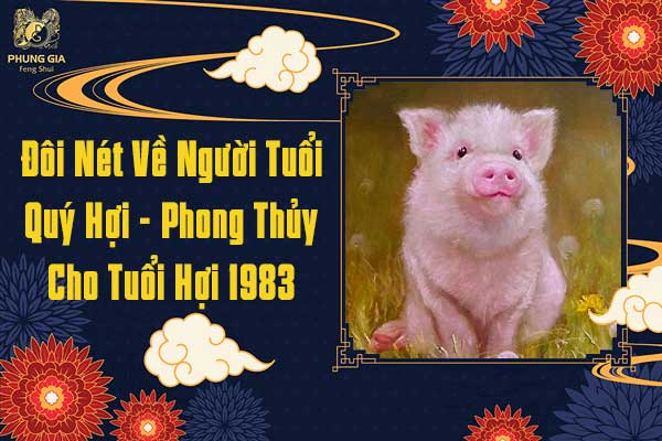 Tìm hiểu tử vi phong thủy phòng thao tác làm việc tuổi quý hợi Để hút tài lộc